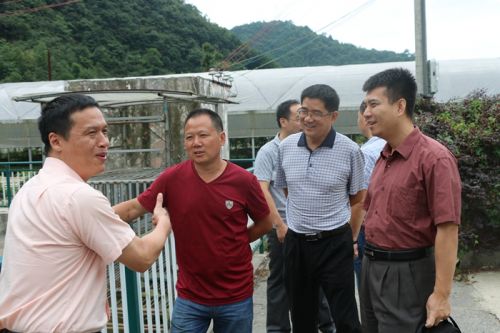 听到聚龙合作社 负责人坚定“先做强,不急于做大”的思路,周继荣博士竖起了大拇指